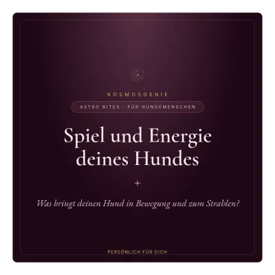 Spiel und Energie deines Hundes - Astro Bite von KosmosGenie
